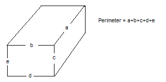 perimeter definition